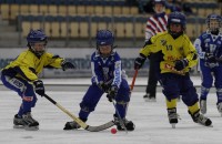 _MG_1398PK _MG_1398PK