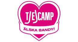 Tjejcamp_puff Tjejcamp_puff