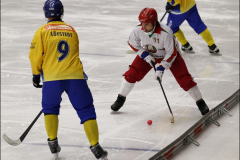 130129 Sverige-Vitryssland