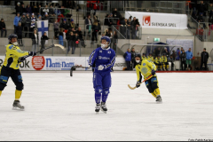 130130 Finland-Kazakstan