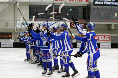 131129 IFK Vänersborg-Ljusdals BK 7-3(3-1)
