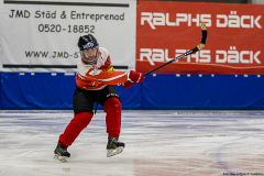 Estland - Schweiz 2019-01-22-13