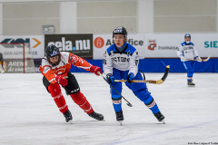 Estland - Schweiz 2019-01-22-14