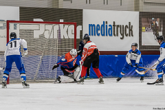 Estland - Schweiz 2019-01-22-15