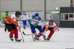 Estland - Schweiz 2019-01-22-6