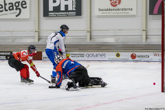 Estland - Schweiz 2019-01-22-7