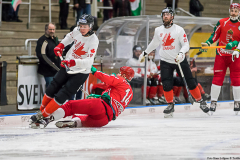 Ungern - Kanada 2019-01-22-3