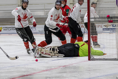 Ungern - Kanada 2019-01-22-5