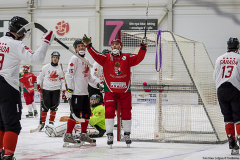 Ungern - Kanada 2019-01-22-6