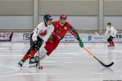 Ungern - Kanada 2019-01-22-8