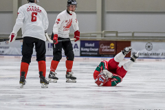 Ungern - Kanada 2019-01-22