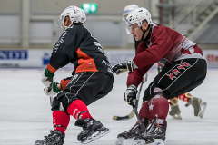 Lettland Japan  2019-01-23-4