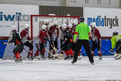 Lettland Japan  2019-01-23-6