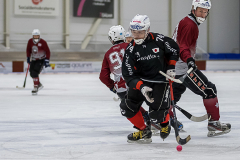 Lettland Japan  2019-01-23-8