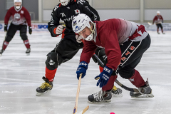 Lettland Japan  2019-01-23