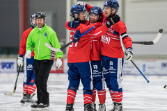 Slovakien - England 2019-01-23-15