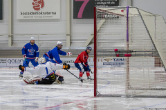 Slovakien - England 2019-01-23-16