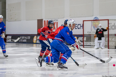 Slovakien - England 2019-01-23-3