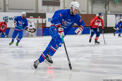 Slovakien - England 2019-01-23-4