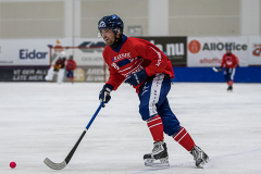 Slovakien - England 2019-01-23-5
