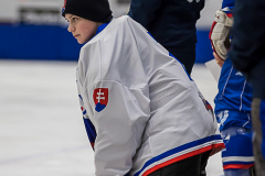 Slovakien - England 2019-01-23-6