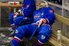Slovakien - England 2019-01-23-9