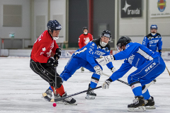 Estland - Kanada 2019-01-24-12