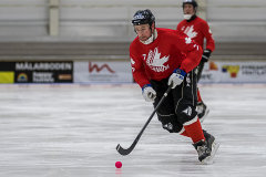 Estland - Kanada 2019-01-24-2