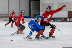 Estland - Kanada 2019-01-24-8