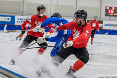Estland - Kanada 2019-01-24