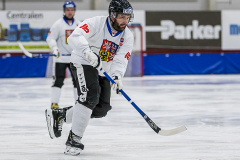 Ukraina - Tjeckien 2019-01-24-10