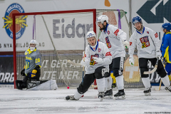 Ukraina - Tjeckien 2019-01-24-11