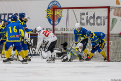 Ukraina - Tjeckien 2019-01-24-13