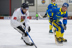 Ukraina - Tjeckien 2019-01-24-14