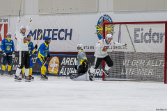 Ukraina - Tjeckien 2019-01-24-15