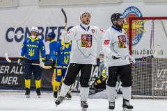 Ukraina - Tjeckien 2019-01-24-16