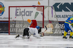 Ukraina - Tjeckien 2019-01-24-4