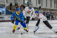 Ukraina - Tjeckien 2019-01-24-6