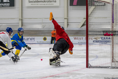 Ukraina - Tjeckien 2019-01-24-7