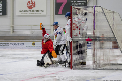 Ukraina - Tjeckien 2019-01-24-8