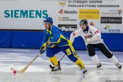 Ukraina - Tjeckien 2019-01-24-9