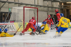 Sverige - Ryssland 2019-01-26-13