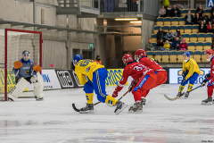 Sverige - Ryssland 2019-01-26-15