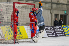 Sverige - Ryssland 2019-01-26-18