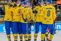 Sverige - Ryssland 2019-01-26-19