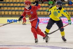 Ryssland - Kazackhstan 2019-01-28-11