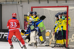 Ryssland - Kazackhstan 2019-01-28-9