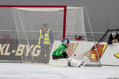 Tyskland - Norge 2019-01-28-13