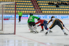 Tyskland - Norge 2019-01-28-4