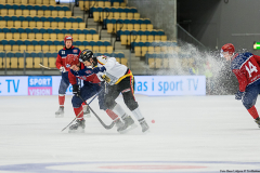 Tyskland - Norge 2019-01-28-7